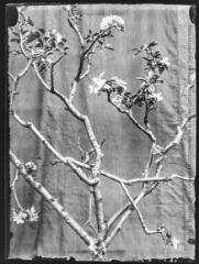 1 vue  - Composition artistique : branches d\'arbre en fleur. - [entre 1890 et 1920]. - Photographie (ouvre la visionneuse)