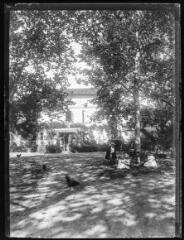 1 vue  - Groupe assis sous un arbre devant une maison. - [entre 1890 et 1920]. - Photographie (ouvre la visionneuse)