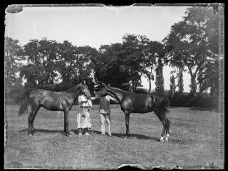 1 vue  - Dans un pré : deux chevaux tenus par deux hommes. - [entre 1890 et 1920]. - Photographie (ouvre la visionneuse)