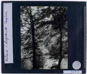 2 vues Cagire : Arguenos ; cabane dans la hêtraie (d'après Dominique Duport). - 6 juin 1927. - Photographie