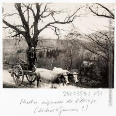 1 vue  - Ariège : un attelage agricole. - [vers 1910]. - Photographie (ouvre la visionneuse)