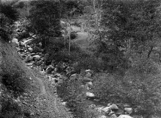 1 vue  - Vue n°38 après envahissement du lit par l\'aulne glutineux / photographie Bauby. - 13 août 1904. - Photographie (ouvre la visionneuse)