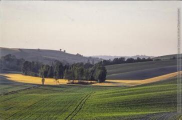 1 vue Aignes (secteur d') : la vallée.