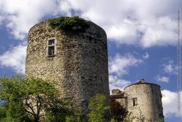 4 vues  - Fontrieu : château de Ferrières. (ouvre la visionneuse)