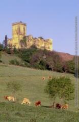 2 vues  - Mauvezin : château et donjon de Gaston Phoebus. (ouvre la visionneuse)