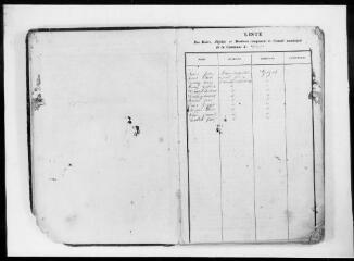 53 vues - Commune de Gouzens. 1 D 3 : registre des délibérations du conseil municipal, 1859, 31 décembre-1890, 14 juillet (ouvre la visionneuse)