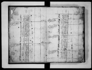 14 vues - Commune de Francon. 1 G 4 : documents cadastraux, fragment d\'une matrice foncière de 1791 (ouvre la visionneuse)