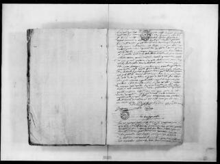 149 vues  - Commune de Saint-Sauveur. 1 D 2 : registre des délibérations consulaires, 1783, 29 mai-1791, 14 mars (tête-bêche : lettres patentes du Roi) (ouvre la visionneuse)