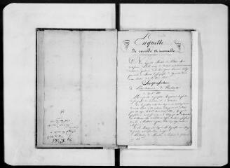 110 vues Commune d'Auzeville-Tolosane. 1 S 5 : procès de la commune contre M. de Pins pour une pièce de terre, 1834-1840