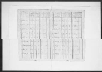 9 vues - Commune de Launaguet. 1 G 8 : matrice de rôle pour la contribution foncière, 1815 (?) (ouvre la visionneuse)
