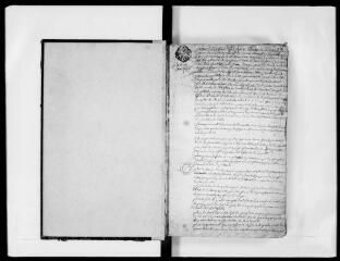 199 vues  - Commune de Tournefeuille. 1 D 2 : registre des délibérations consulaires, 1779, 29 août-1790, 19 mars (en plus : lettres patentes de roi) (ouvre la visionneuse)