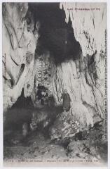 2 vues - Les Pyrénées (1ère série); 343. Grottes de Gargas; Stalactites et stalagmites : face est. - Toulouse : phototypie Labouche frères, marque LF au verso, [entre 1920 et 1950]. - Carte postale (ouvre la visionneuse)