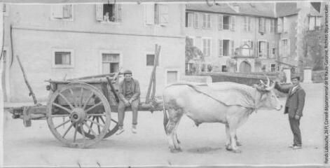 1 vue  - [Types pyrénéens. Un attelage de boeufs]. - Toulouse : maison Labouche frères, [entre 1900 et 1920]. - Photographie (ouvre la visionneuse)