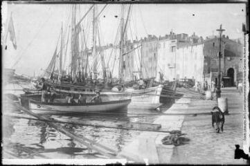 1 vue - [Saint-Tropez : quai Suffren]. - Toulouse : édition Labouche frères, [entre 1920 et 1950]. - Photographie (ouvre la visionneuse)