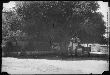 3 vues - [Afrique : place du village]. - Toulouse : maison Labouche frères, [entre 1930 et 1950]. - Photographie (ouvre la visionneuse)
