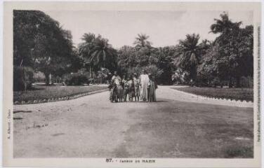 4 vues - 87. Jardin de Hahn [Hann]. - Dakar : A. Albaret, [entre 1930 et 1940]. - Carte postale (ouvre la visionneuse)