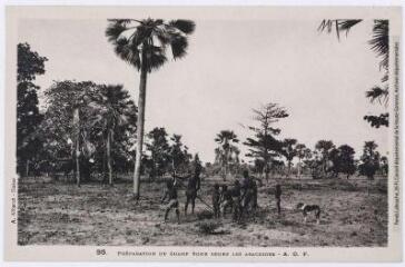 4 vues - 95. Préparation du champ pour semer les arachides - A.O.F. - Dakar : A. Albaret, [entre 1930 et 1940]. - Carte postale (ouvre la visionneuse)