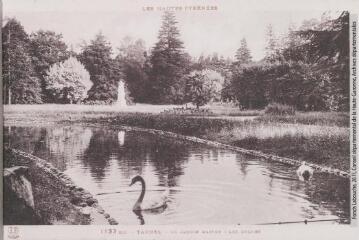 1 vue - Les Hautes-Pyrénées. 1133 bis. Tarbes : le jardin Massey : les cygnes. - Toulouse : phototypie Labouche frères, marque LF, [entre 1930 et 1937]. - Carte postale (ouvre la visionneuse)