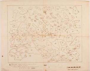 1 vue - Plan des pièces usurpées en tout ou en partie sur les biens communaux de Juzet-de-Luchon. Jean-Marie Rouède, géomètre. 14 novembre 1839. Ech. 1/1000. (ouvre la visionneuse)