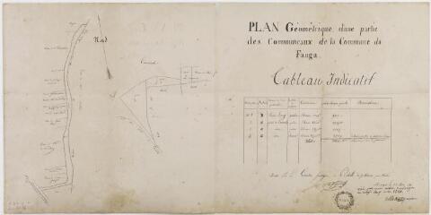 1 vue - Plan géométrique d\'une partie des communaux de la commune du Fauga. De Saint-Giniez, géomètre. 23 mai 1845. Ech. 0,5 mm par m. (ouvre la visionneuse)