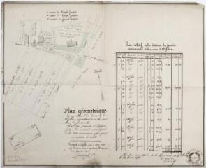 2 vues - Plan géométrique du communal du hameau de Saint-Flou appartenant à la commune de Fontenilles. Laurent Sacareau, géomètre. 4 décembre 1850. Ech. 1/1250. (ouvre la visionneuse)