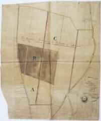 1 vue - [Commune de Fontenilles, plan géométrique du communal de L\'Espèche à affermer]. Forgue, géomètre. 1er juillet 1871. Ech. 1/2500. (ouvre la visionneuse)