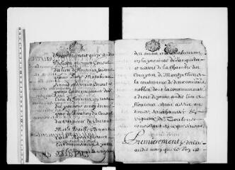 13 vues - Commune de Flourens. 1 S 1 : dénombrement des biens de la communauté en faveur du Roi 1683 (ouvre la visionneuse)