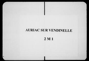 4 vues Commune d'Auriac-sur-Vendinelle. 2 M 1 : plan du cimetière, s.d.