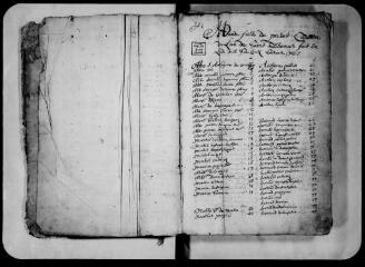 159 vues  - Commune de Saint-Thomas. 1 G 5 : livre terrier, 1779-1781 (ouvre la visionneuse)