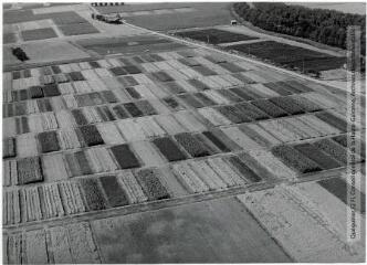 4 vues  - Auzeville-Tolosane : complexe agricole : champs expérimentaux / Jean Quéguiner photogr. - Juillet 1976. - 4 photographies (ouvre la visionneuse)
