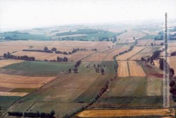 1 vue  - Auzielle : vallée de la Marcaissonne et lieu-dit le Pradal / Jean Quéguiner photogr. - Juillet 1976. - Photographie (ouvre la visionneuse)