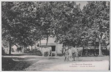 2 vues - La Haute-Garonne. Tarabel : place du marché. - Toulouse : Phot. Labouche frères, marque LF au verso, [entre 1910 et 1940]. - Carte postale (ouvre la visionneuse)