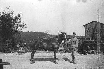 5 vues  - La Chalade [Lachalade] (342-346). Lieutenant Junot (343). Mon cheval 1917 (346). - 1917. - Photographie (ouvre la visionneuse)
