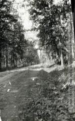 1 vue - La route de la Chalade [Lachalade]. - [entre 1915 et 1916]. - Photographie (ouvre la visionneuse)