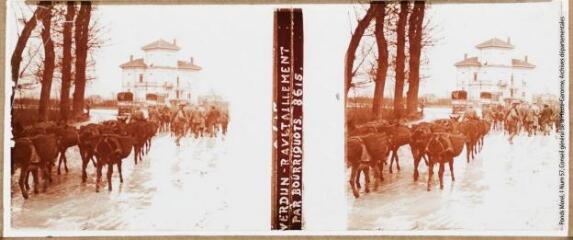 2 vues - Verdun : ravitaillement par bourriquots. 8615. - [entre 1914 et 1918]. - Photographie (ouvre la visionneuse)