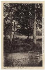 1 vue Saint-Joseph-de-Charlary, par Rouffiac (Hte-Garonne) : l'étang des Presles. - Toulouse : phototypie Labouche frères, marque LF, [1936]. - Carte postale
