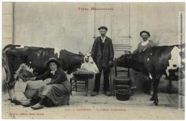 1 vue - Types méridionaux. 801. Capvern : laitiers pyrénéens. - Toulouse : phototypie Labouche frères, marque LF au verso, [1905]. - Carte postale (ouvre la visionneuse)