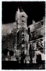 1 vue - 35. Toulouse : hôtel Guillermy (1788) : vue de nuit sous les projecteurs (8 rue Ozenne). - Toulouse : éditions Pyrénées-Océan, Labouche frères, marque Elfe, [vers 1950]. - Carte postale (ouvre la visionneuse)