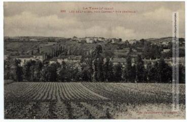 2 vues - Le Tarn (2e série). 200. Les Salvages, près Castres : vue générale. - Toulouse : phototypie Labouche frères, [entre 1905 et 1937]. - Carte postale (ouvre la visionneuse)