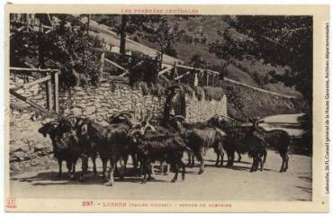 2 vues  - Les Pyrénées Centrales. 287. Luchon (vallée d\'Oueil) : retour du chevrier. - Toulouse : phototypie Labouche frères, [entre 1930 et 1937]. - Carte postale (ouvre la visionneuse)