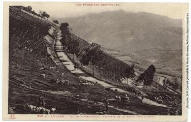 1 vue - Les Pyrénées Centrales. 501 A. Luchon : col de Peyresourde : descente de la route vers Luchon. - Toulouse : phototypie Labouche frères, [entre 1930 et 1937]. - Carte postale (ouvre la visionneuse)