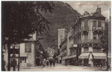 1 vue - Les Pyrénées Centrales (1re série). 250. Luchon [Bagnères-de-Luchon] : avenue Carnot. - Toulouse : phototypie Labouche frères, [entre 1918 et 1937]. - Carte postale (ouvre la visionneuse)