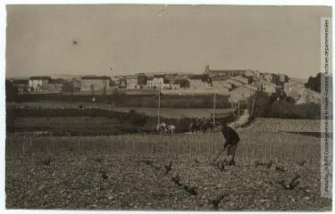 2 vues - L\'Aude. 307. Sigean : vue générale / photographie Henri Jansou (1874-1966). - Toulouse : maison Labouche frères, [entre 1900 et 1940]. - Photographie (ouvre la visionneuse)