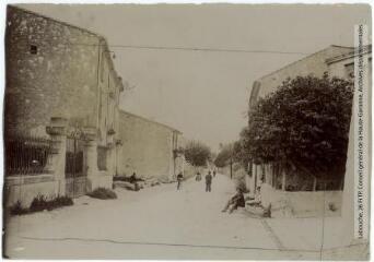 2 vues - 359. Salles-d\'Aude : avenue de Fleury. - Toulouse : maison Labouche frères, [entre 1900 et 1920]. - Photographie (ouvre la visionneuse)