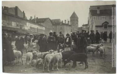 2 vues  - Haute-Garonne. 1090. Saint-Gaudens : place du marché aux moutons. - Toulouse : maison Labouche frères, [entre 1900 et 1920]. - Photographie (ouvre la visionneuse)