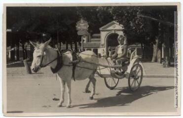3 vues  - 66. Luchon [Bagnères-de-Luchon] : une petite voiture à âne. - Toulouse : maison Labouche frères, [entre 1920 et 1950]. - Photographie (ouvre la visionneuse)