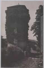 3 vues - Les Basses-Pyrénées. 1049. Haut-de-Gan : la vieille tour. - Toulouse : phototypie Labouche frères, [entre 1905 et 1937]. - Carte postale (ouvre la visionneuse)