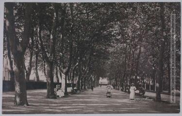 3 vues - Le Tarn. 199. Mazamet : jardin public, la grande allée. - Toulouse : phototypie Labouche frères, [entre 1905 et 1937]. - Carte postale (ouvre la visionneuse)
