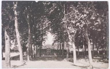2 vues - Les Corbières. 141. Maury : la promenade. - Toulouse : maison Labouche frères, [entre 1900 et 1940]. - Photographie (ouvre la visionneuse)