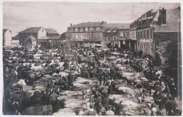 2 vues - Les Pyrénées (4e série). 71. Lannemezan : marché au bétail / photographie Henri Jansou (1874-1966). - Toulouse : maison Labouche frères, [entre 1900 et 1920]. - Photographie (ouvre la visionneuse)
